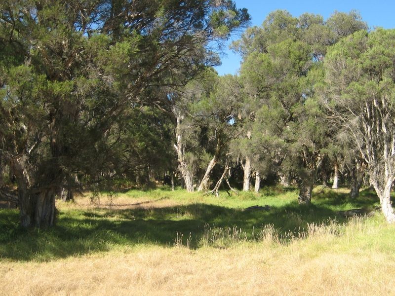 663 Rendezvous Road, Vasse WA 6280