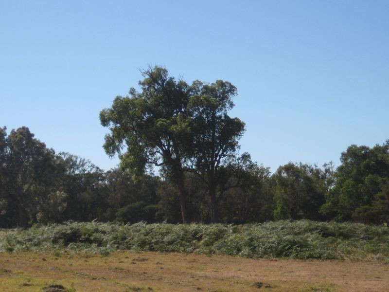 663 Rendezvous Road, Vasse WA 6280