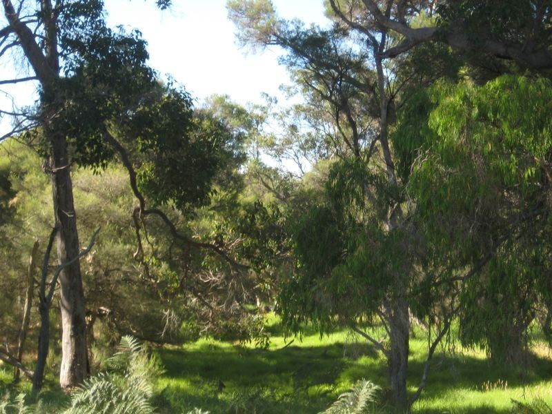 663 Rendezvous Road, Vasse WA 6280