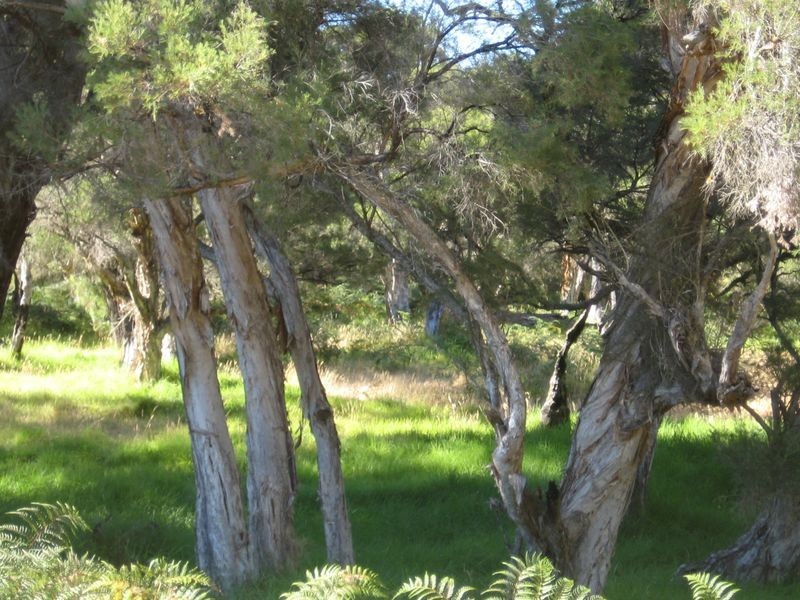 663 Rendezvous Road, Vasse WA 6280