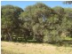 663 Rendezvous Road, Vasse WA 6280