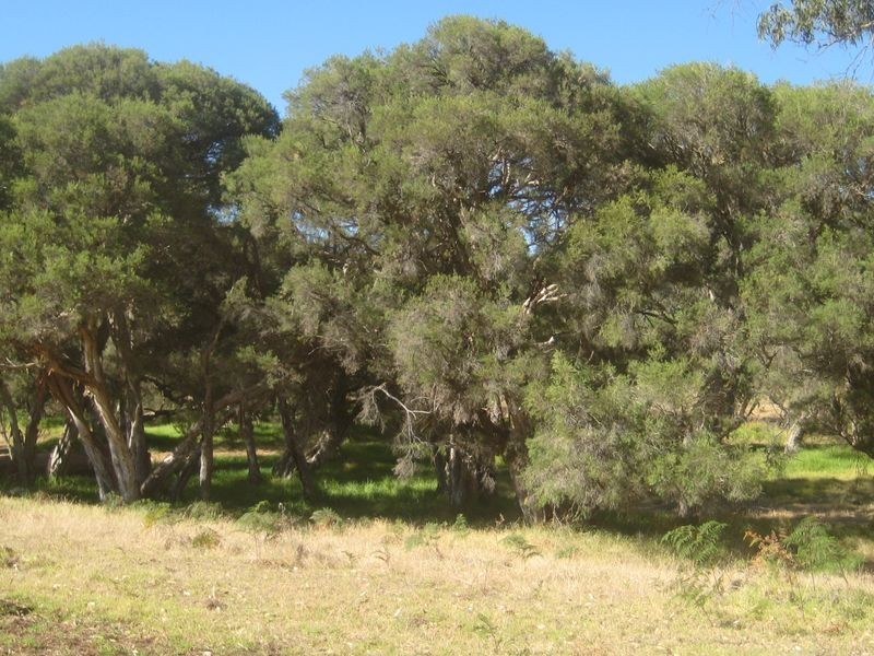 663 Rendezvous Road, Vasse WA 6280