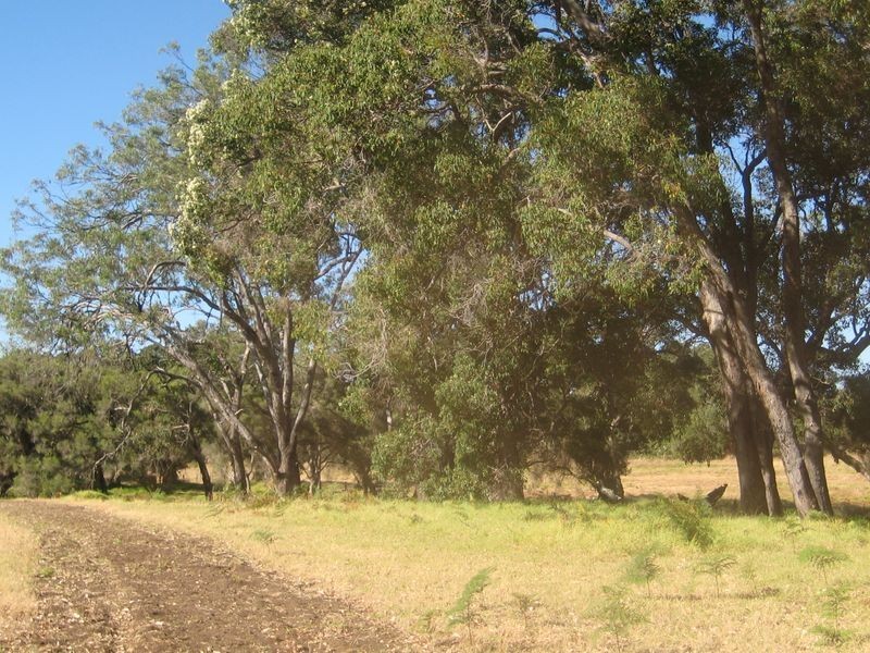 663 Rendezvous Road, Vasse WA 6280