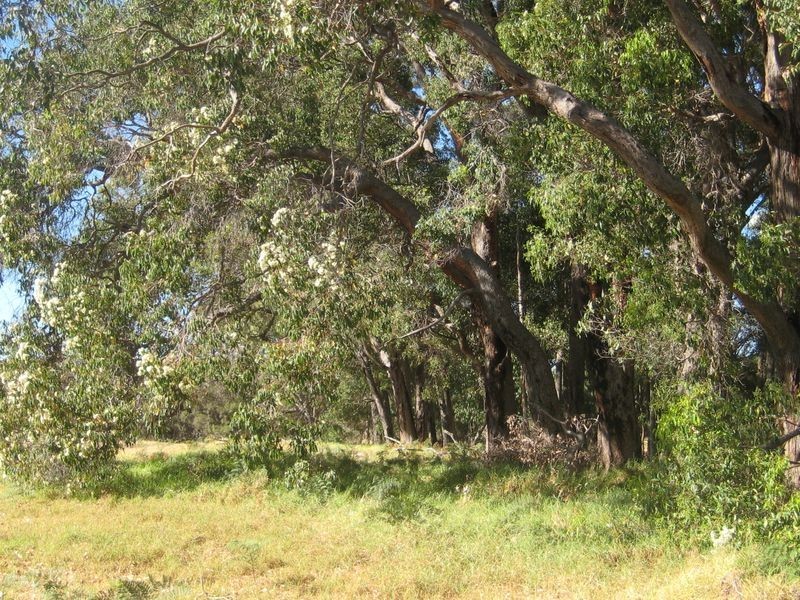 663 Rendezvous Road, Vasse WA 6280