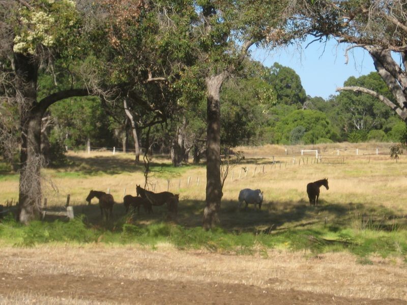 663 Rendezvous Road, Vasse WA 6280