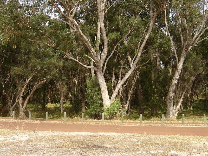 40 Stanford Drive, Abbey WA 6280