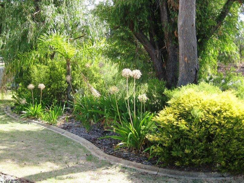 12 Pennyworth Ramble, West Busselton WA 6280