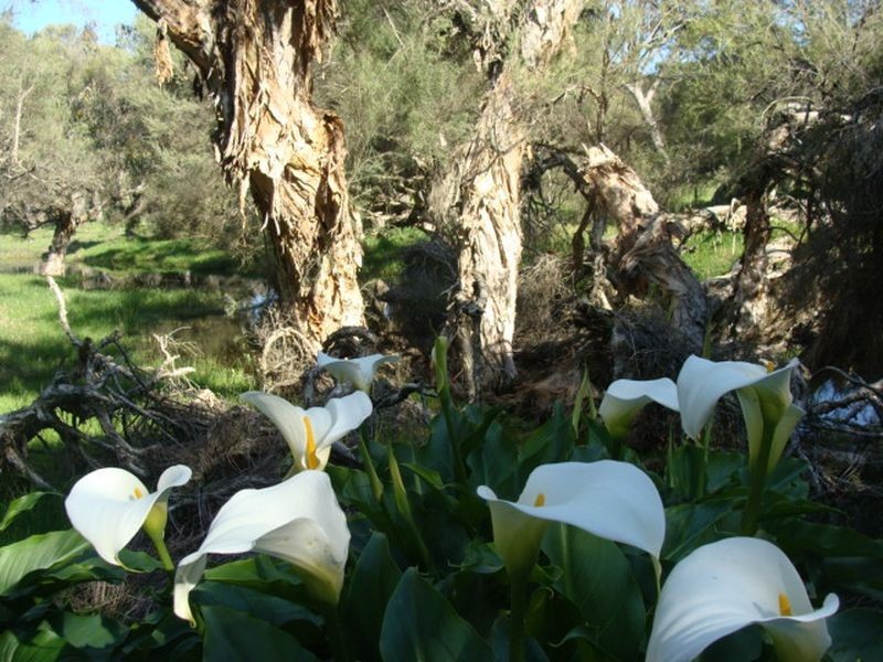 Proposed L 663 Rendezvous Road, Vasse WA 6280