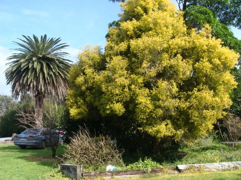 Proposed L 663 Rendezvous Road, Vasse WA 6280