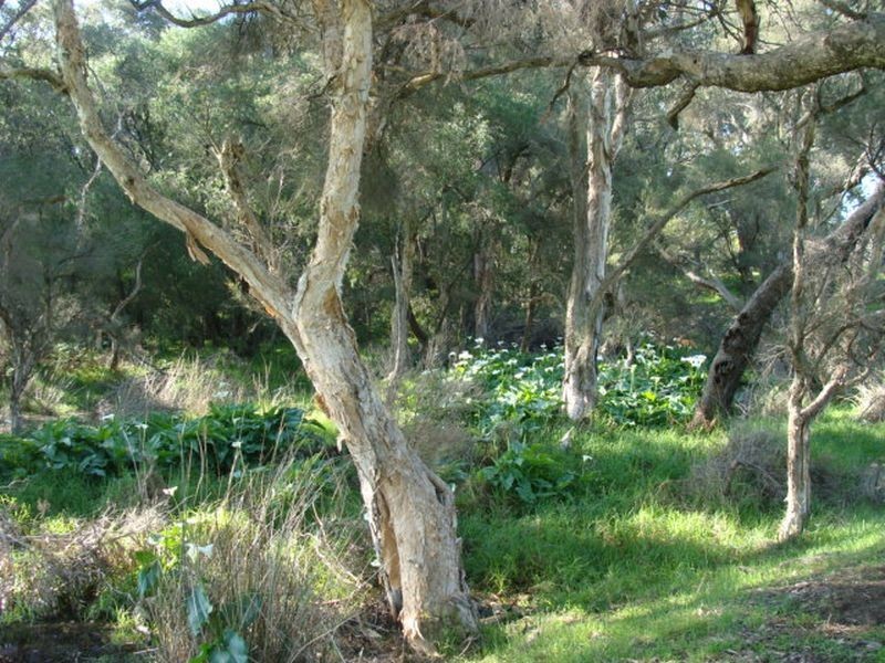 Proposed L 663 Rendezvous Road, Vasse WA 6280