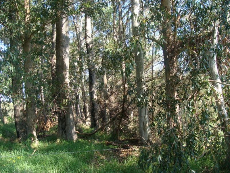 Proposed L 663 Rendezvous Road, Vasse WA 6280