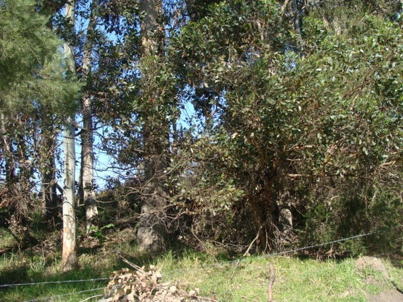 Proposed L 663 Rendezvous Road, Vasse WA 6280