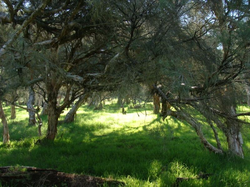 Proposed L 663 Rendezvous Road, Vasse WA 6280