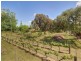 334 Forrest Beach Road, Wonnerup WA 6280