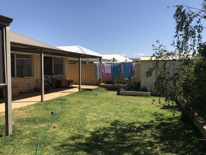 11 Lavender Gardens, Yalyalup WA 6280