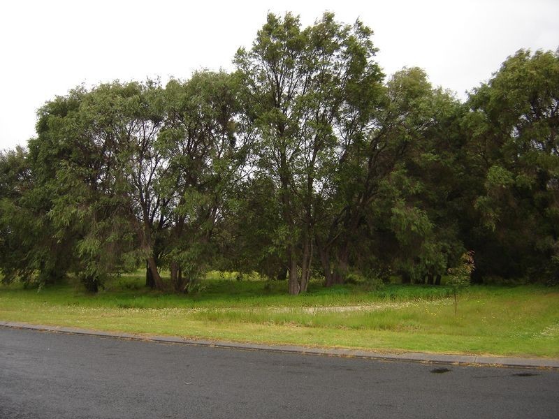 62 William Drive, Broadwater WA 6280