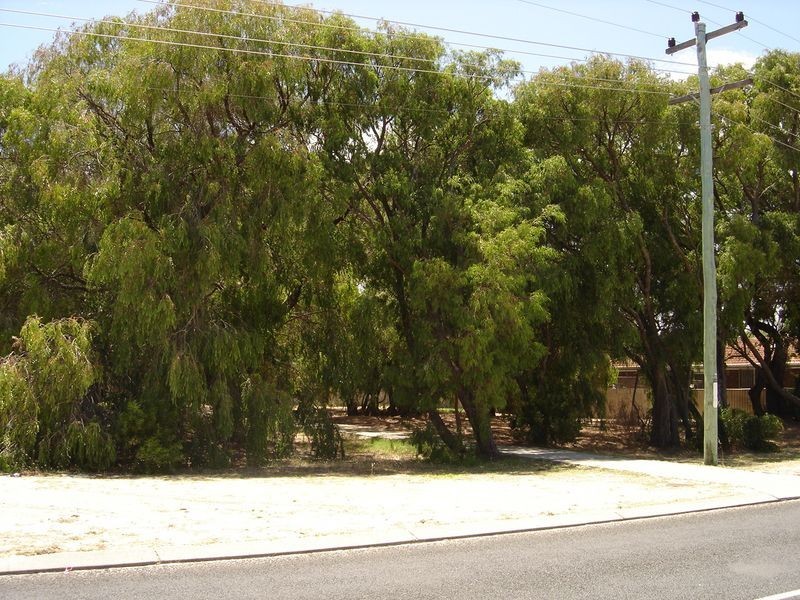 301 Marine Terrace, Geographe WA 6280