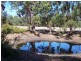 264 Brockman Highway, Nannup WA 6275