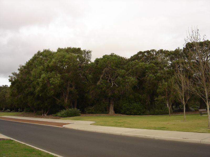 10 Black Wattle Way, Busselton WA 6280