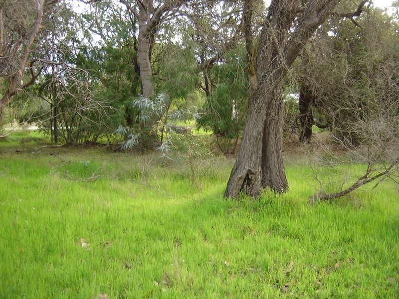 197 Lagoon Drive, Yallingup WA 6282