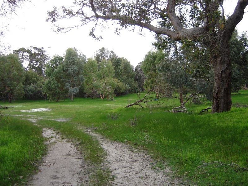 197 Lagoon Drive, Yallingup WA 6282