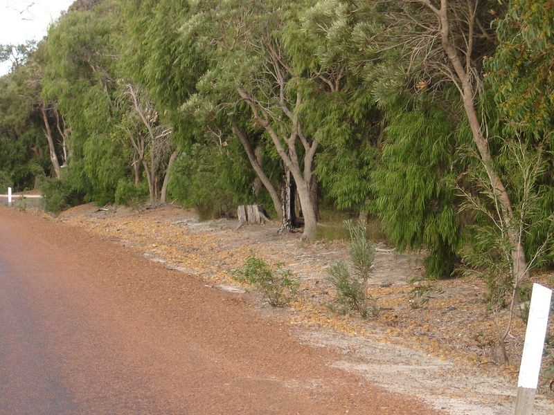 197 Lagoon Drive, Yallingup WA 6282