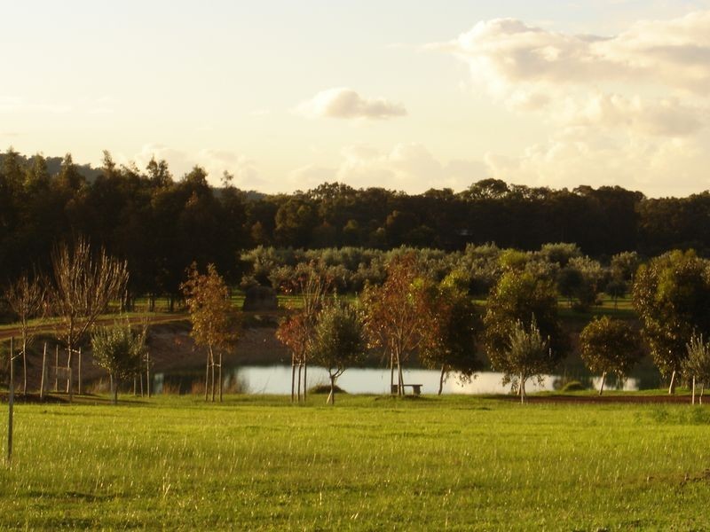 197 Lagoon Drive, Yallingup WA 6282