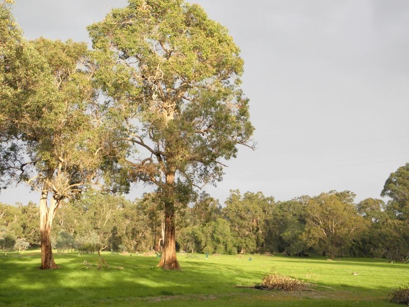 369 Tuart Drive, Capel WA 6271