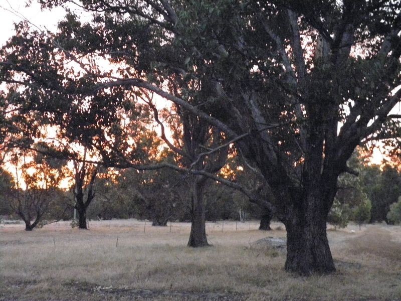 369 Tuart Drive, Capel WA 6271