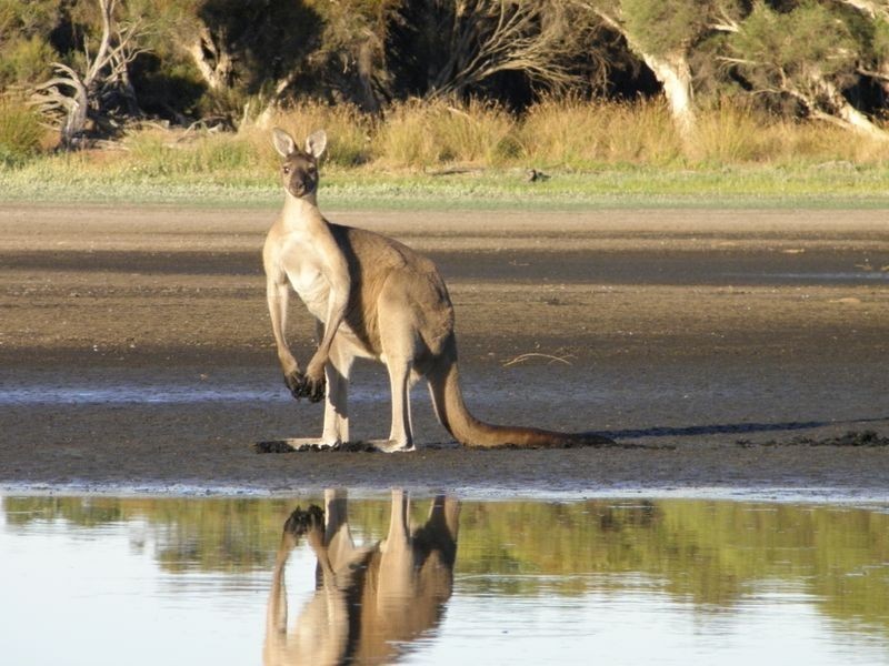 369 Tuart Drive, Capel WA 6271