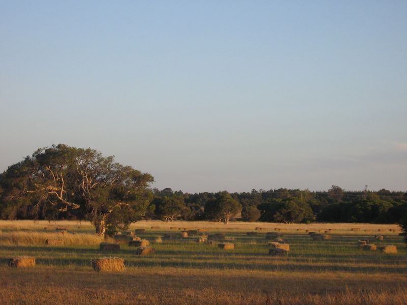 369 Tuart Drive, Capel WA 6271