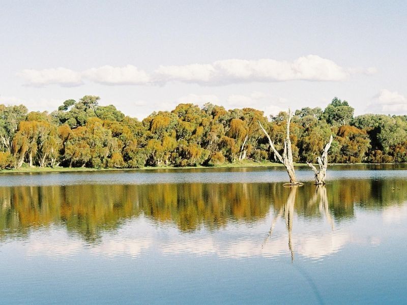 369 Tuart Drive, Capel WA 6271