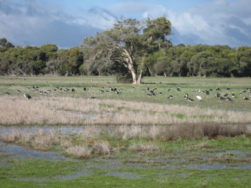 369 Tuart Drive, Capel WA 6271