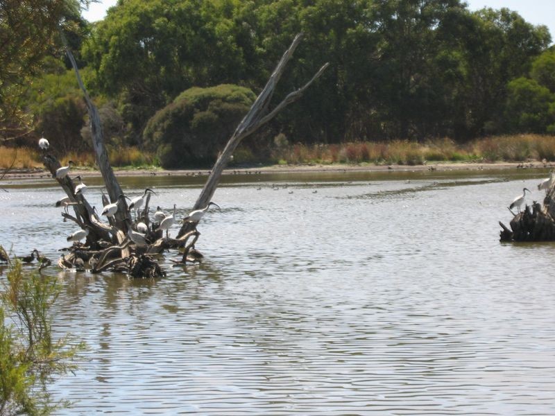 369 Tuart Drive, Capel WA 6271