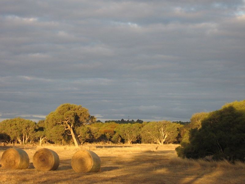 369 Tuart Drive, Capel WA 6271