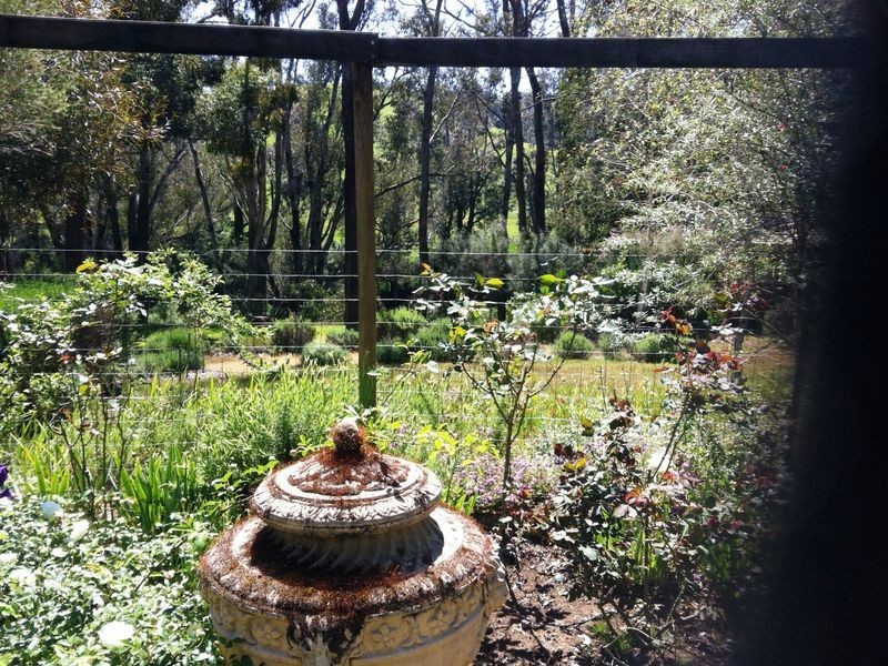 REDGUM HILL COUNTRY RETREAT, Nannup WA 6275