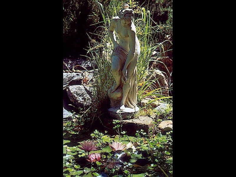 REDGUM HILL COUNTRY RETREAT, Nannup WA 6275