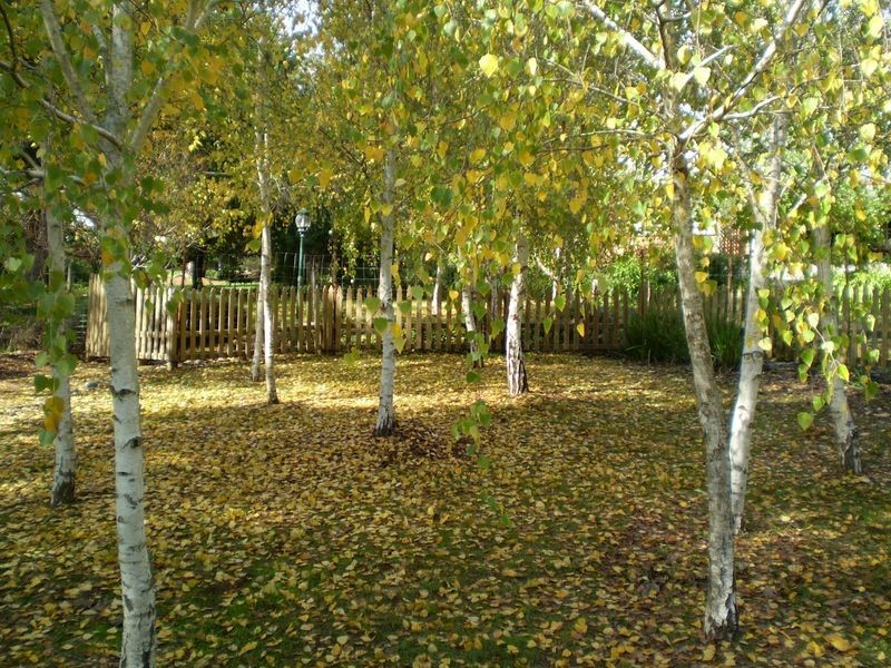 REDGUM HILL COUNTRY RETREAT, Nannup WA 6275