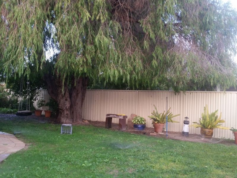 244 Marine Terrace, Geographe WA 6280