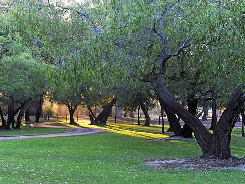 14 Forest Court, Busselton WA 6280