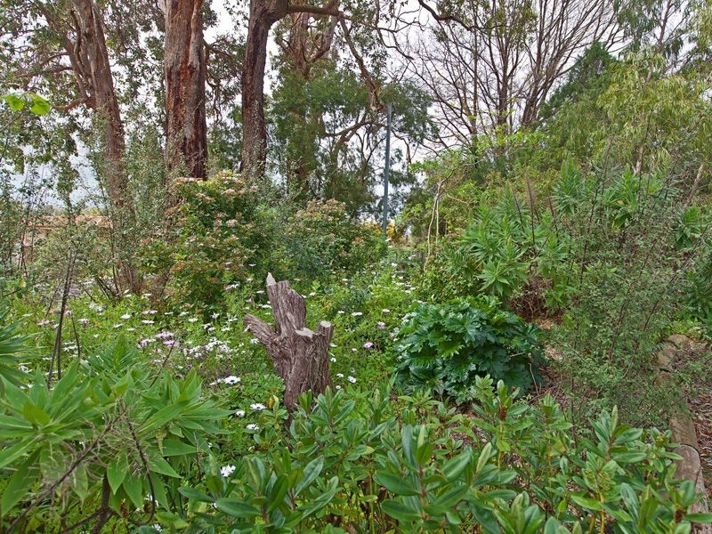 78 Blechynden Street, Bridgetown WA 6255