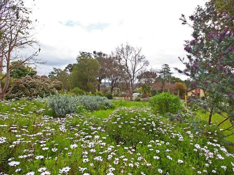 78 Blechynden Street, Bridgetown WA 6255