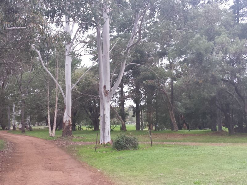 85 Belltonia Way, Vasse WA 6280