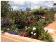 7 Edith Agnes Circle, West Busselton WA 6280