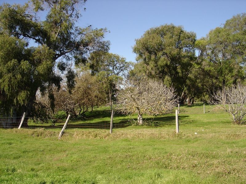 7 Cobbler Road, Broadwater WA 6280