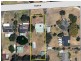 2 Peake St, West Busselton WA 6280