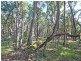 370 Hairpin Road, Jindong WA 6280