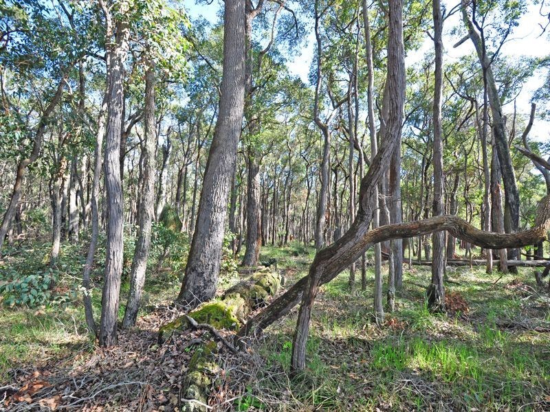 370 Hairpin Road, Jindong WA 6280