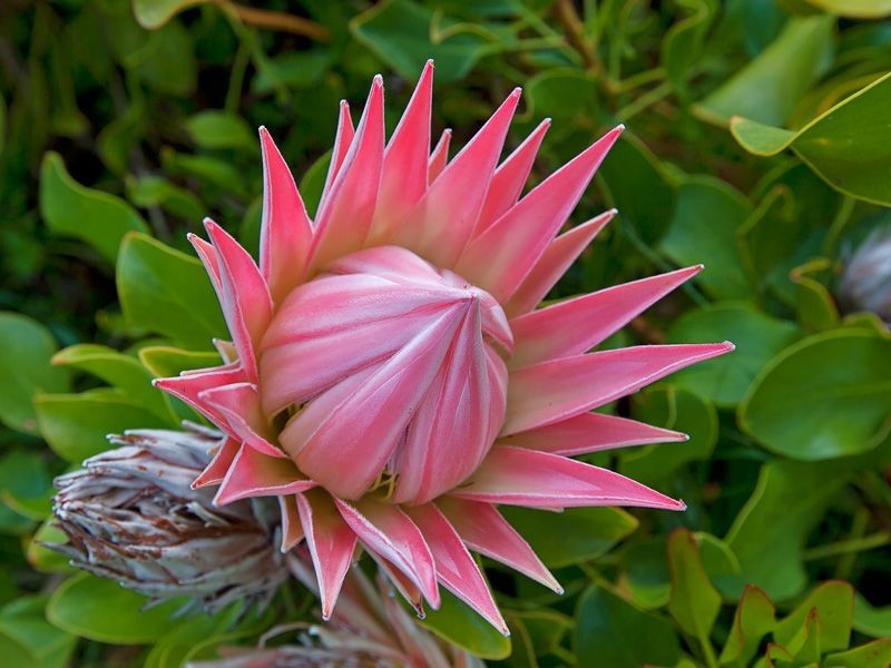 lot 856 Greystones Road, Bridgetown WA 6255