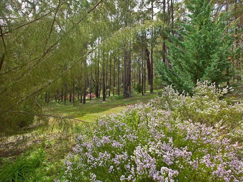 93 Springdale Road, Manjimup WA 6258